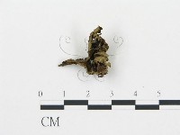 登錄號:F0016188藏品圖，第4張