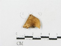 登錄號:F0016190藏品圖，第3張