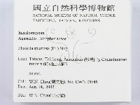 登錄號:F0016191藏品圖，第2張