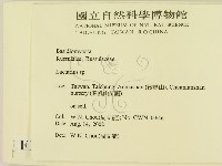 乳菇屬藏品圖，第2張