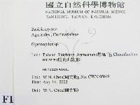 登錄號:F0016194藏品圖，第2張