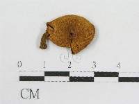 登錄號:F0016194藏品圖，第3張