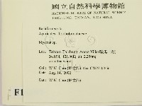 小菇屬藏品圖，第2張