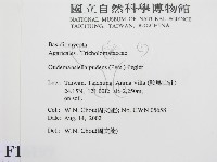 登錄號:F0016199藏品圖，第2張
