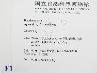 盔孢傘屬藏品圖，第2張