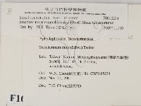 登錄號:F0016204藏品圖，第2張