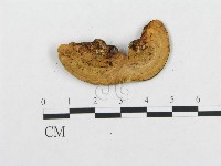 登錄號:F0016204藏品圖，第3張