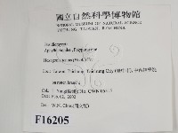 登錄號:F0016205藏品圖，第2張
