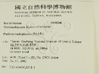 金邊纖孔菌藏品圖，第2張