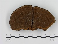 登錄號:F0016207藏品圖，第1張