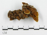 登錄號:F0016208藏品圖，第1張