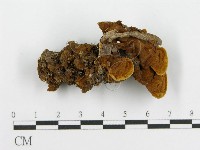 登錄號:F0016208藏品圖，第3張