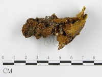 登錄號:F0016208藏品圖，第5張