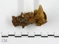 登錄號:F0016208藏品圖，第6張