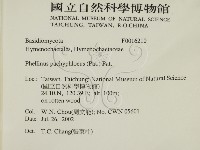金邊纖孔菌藏品圖，第2張