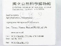登錄號:F0016211藏品圖，第2張