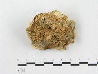 登錄號:F0016211藏品圖，第3張