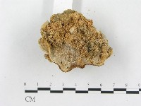 登錄號:F0016211藏品圖，第4張
