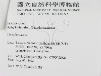 登錄號:F0016212藏品圖，第3張