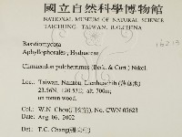 登錄號:F0016213藏品圖，第2張