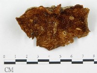 登錄號:F0016213藏品圖，第3張