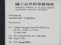 登錄號:F0016214藏品圖，第2張