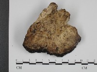 登錄號:F0016214藏品圖，第3張