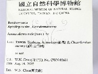 登錄號:F0016215藏品圖，第2張