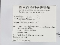 登錄號:F0016220藏品圖，第2張