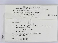 登錄號:F0016221藏品圖，第2張