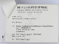 登錄號:F0016221藏品圖，第3張