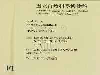 登錄號:F0016222藏品圖，第2張