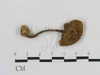 登錄號:F0016222藏品圖，第3張