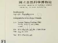 登錄號:F0016223藏品圖，第2張