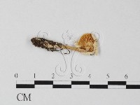登錄號:F0016223藏品圖，第1張