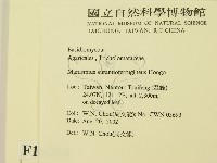 登錄號:F0016224藏品圖，第2張