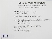 登錄號:F0016225藏品圖，第2張