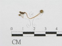 登錄號:F0016225藏品圖，第1張