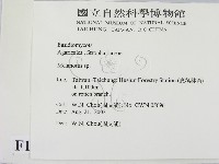 登錄號:F0016227藏品圖，第2張