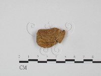 登錄號:F0016228藏品圖，第3張