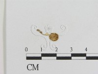 登錄號:F0016230藏品圖，第3張