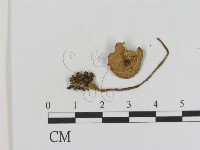 登錄號:F0016231藏品圖，第3張