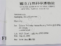 小菇屬藏品圖，第2張