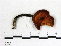 登錄號:F0016233藏品圖，第1張