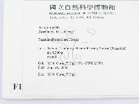 登錄號:F0016235藏品圖，第2張
