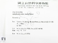 登錄號:F0016236藏品圖，第2張