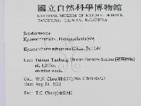 登錄號:F0016237藏品圖，第2張
