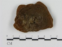 登錄號:F0016237藏品圖，第1張