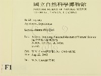 登錄號:F0016238藏品圖，第2張