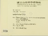 登錄號:F0016239藏品圖，第2張